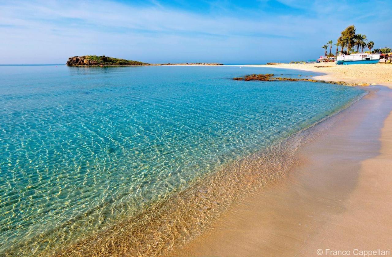 My Holiday Lägenhet Ayia Napa Exteriör bild